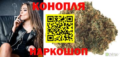 прущие грибы Будённовск