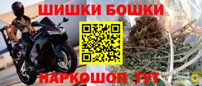 прущие грибы Будённовск