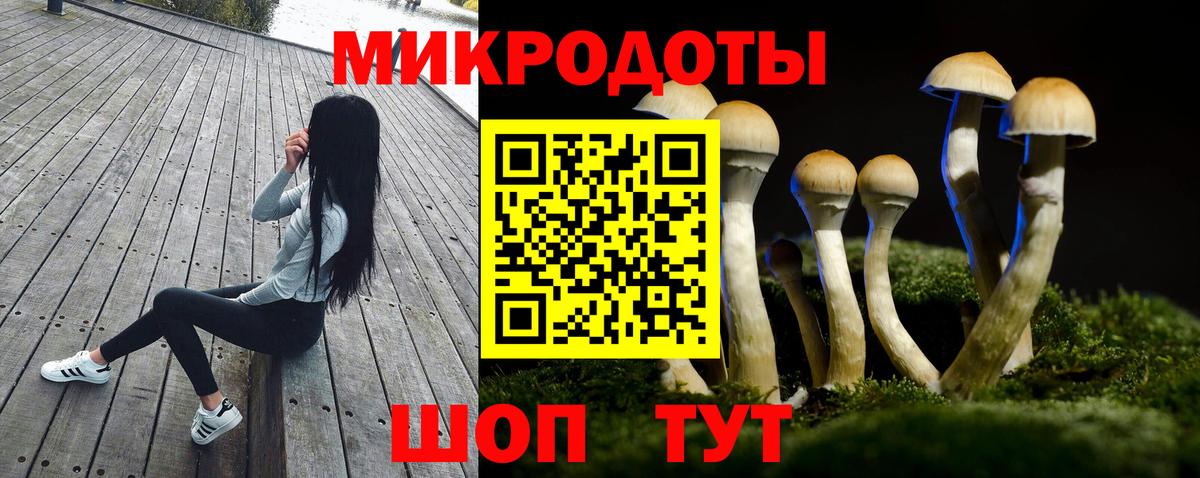 Щёлково  Псилоцибиновые грибы прущие грибы  Вход с VPN 